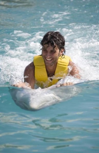  Swimming with dolphins
